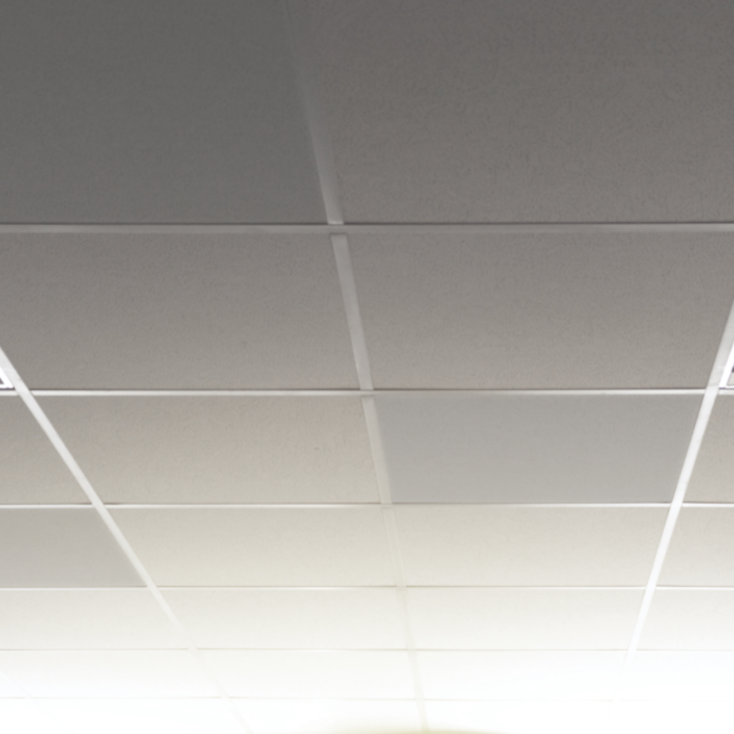 Rasterdecke Rasterdecke